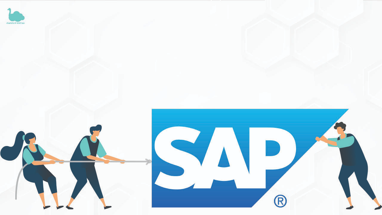 SAP consulting